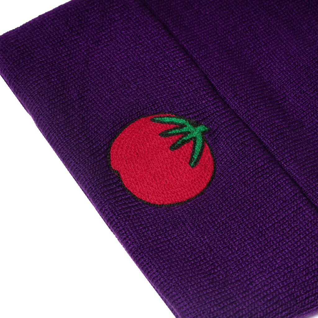 GREATER BOSTON FOODBANK BEANIE