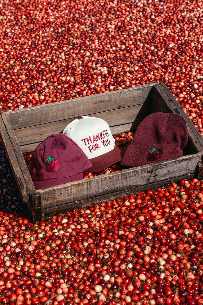 PROJECT PAULIE X OCEAN SPRAY CRANBERRY DAD HAT