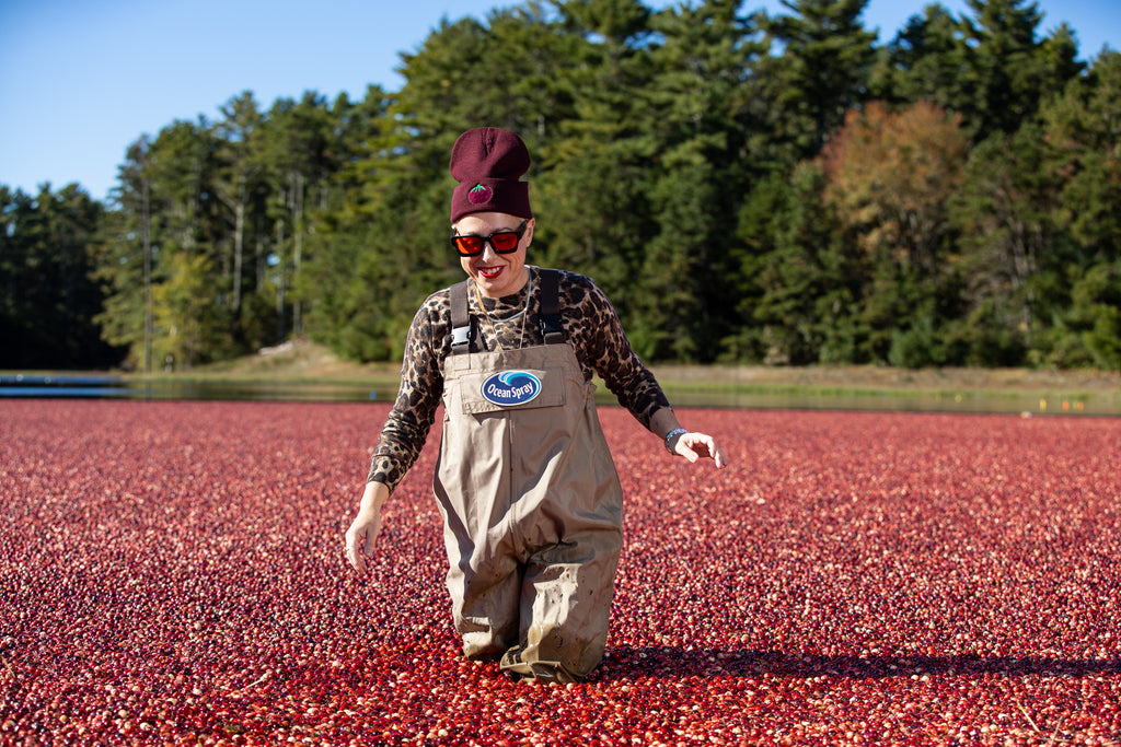 PROJECT PAULIE X OCEAN SPRAY CRANBERRY BEANIE