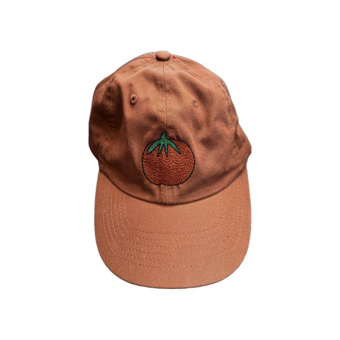 Brown on Brown Dad Hat