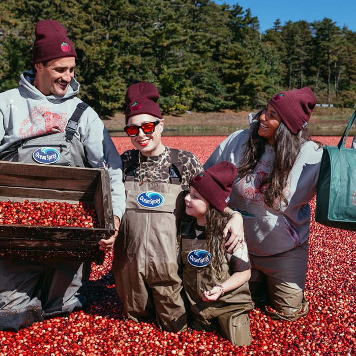 Cranberry Beanie