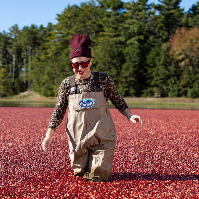 Cranberry Beanie
