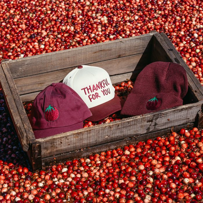 Cranberry Dad Hat